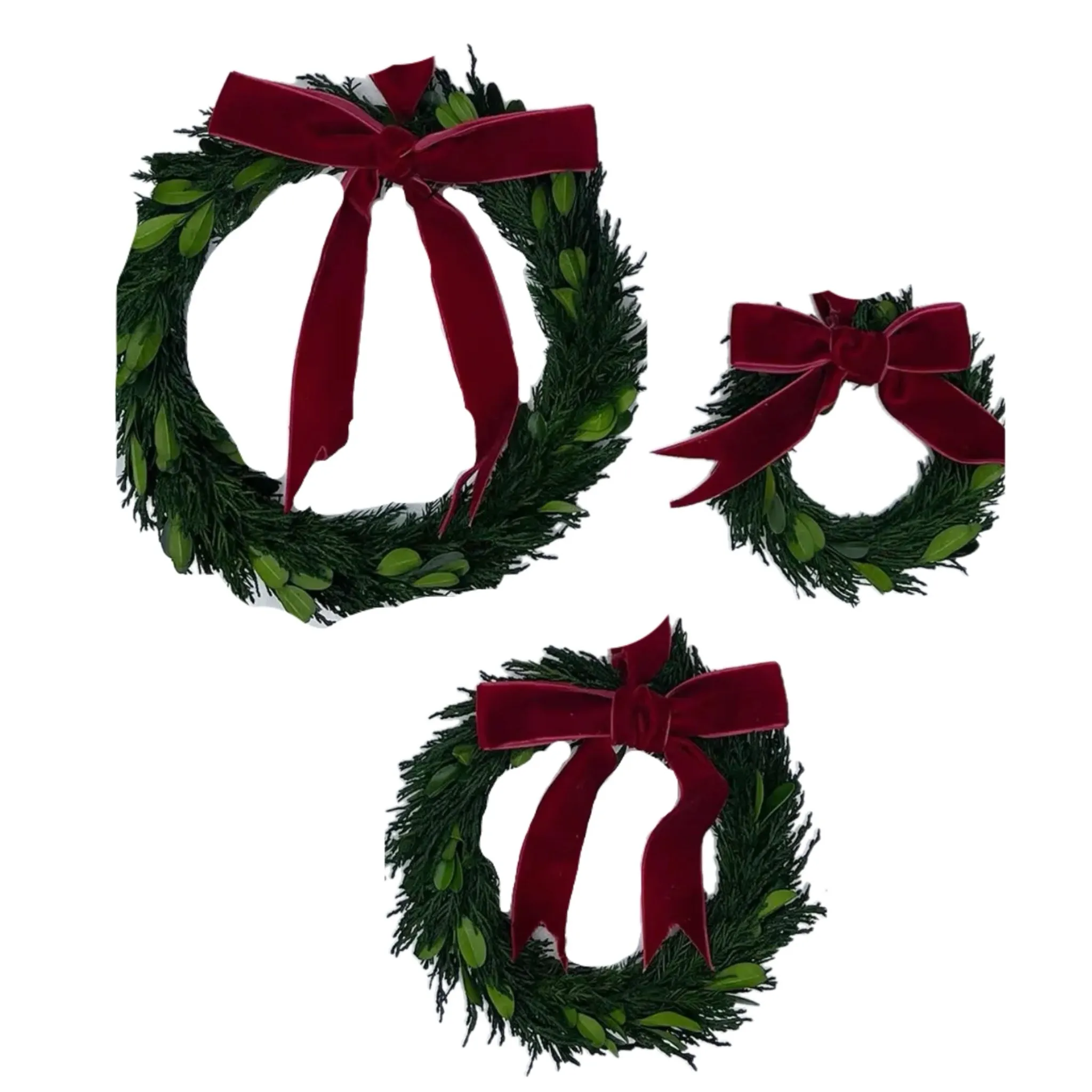 Assorted Boxwood Wreath With Burgundy Ribbon, INDIVIDUALLY SOLD